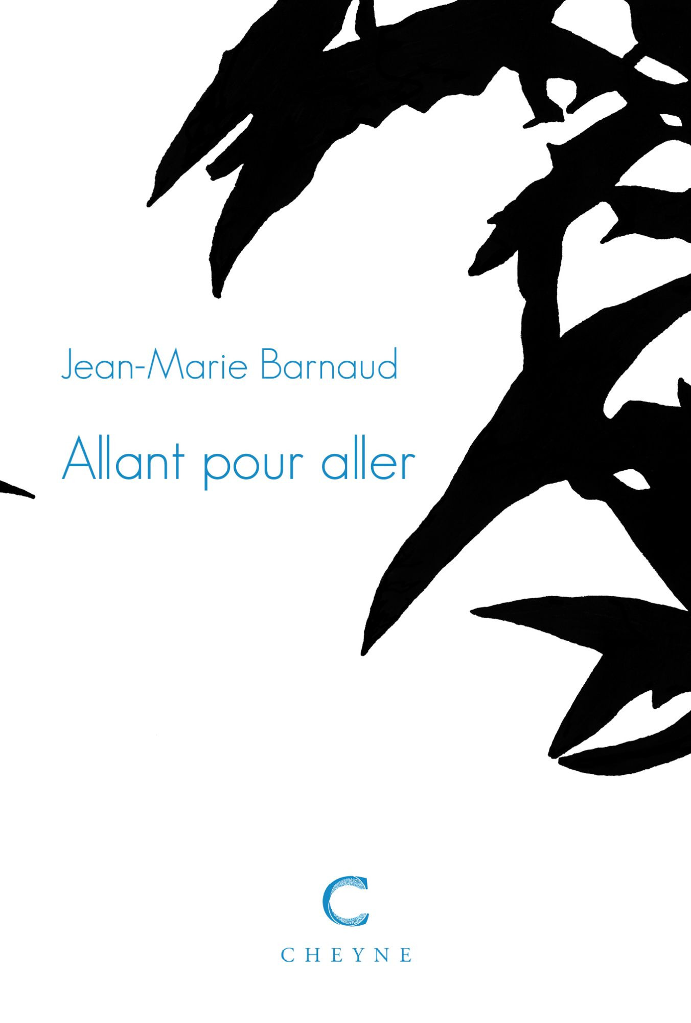 Collection anniversaire des 40 ans de Cheyne